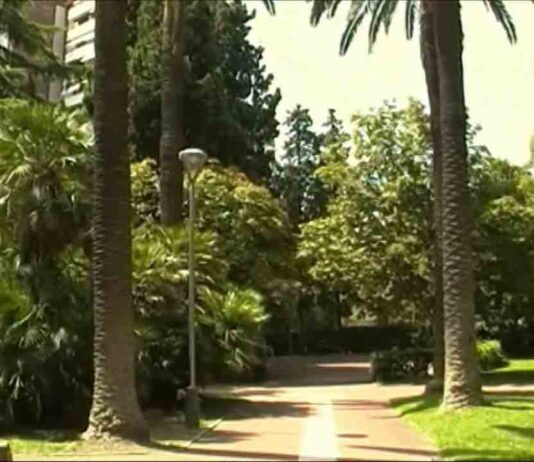 Un paseo por los Jardines de la Villa Amelia Un paseo por los Jardines de la Villa Amelia