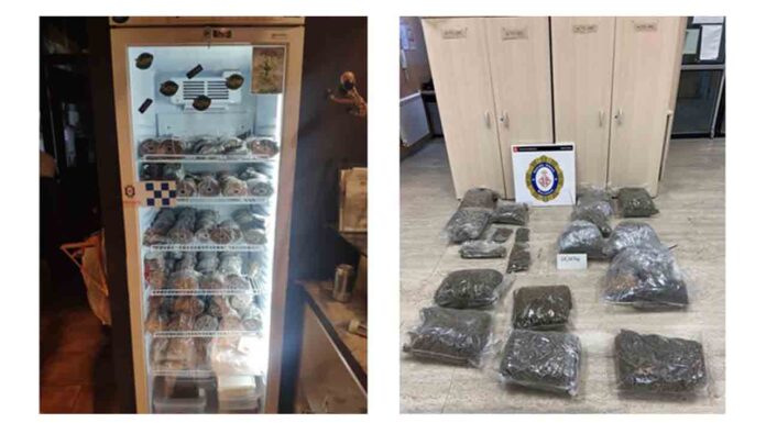 Intervenidos 2 millones de semillas y 15 kilos de marihuana Intervenidos 2 millones de semillas y 15 kilos de marihuana