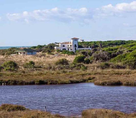 La Generalitat invita a Europa a visitar la zona de ampliación del Aeropuerto La Generalitat invita a Europa a visitar la zona de ampliación del Aeropuerto