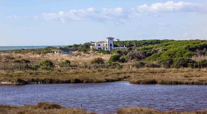 La Generalitat invita a Europa a visitar la zona de ampliación del Aeropuerto La Generalitat invita a Europa a visitar la zona de ampliación del Aeropuerto