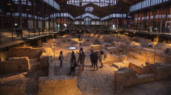 Los museos de Barcelona multiplican la oferta cultural de verano de la ciudad Los museos de Barcelona multiplican la oferta cultural de verano de la ciudad