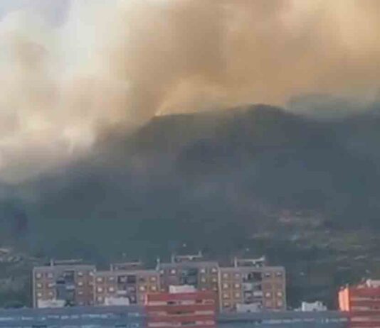 Un nuevo incendio en Colleserola quema 10 hectáreas Un nuevo incendio en Collserola quema 10 hectáreas