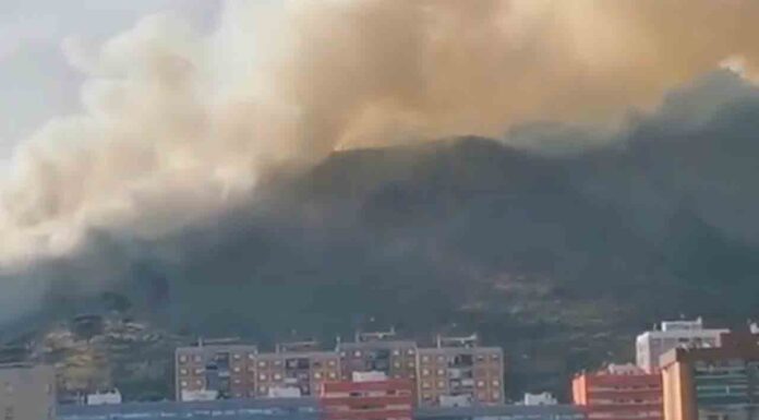 Un nuevo incendio en Colleserola quema 10 hectáreas Un nuevo incendio en Collserola quema 10 hectáreas