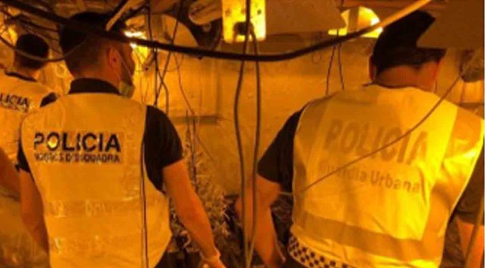 Desmantelado un punto de distribución de drogas en Sarrià-Sant Gervasi Desmantelado un punto de distribución de drogas en Sarrià-Sant Gervasi