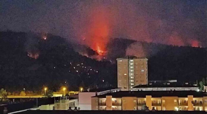 El incendio del Baix Llobregat ya ha quemado 152 hectáreas El incendio del Baix Llobregat ya ha quemado 152 hectáreas