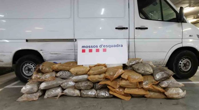 Localizan 63 kilos de marihuana en un camión con matrícula polaca Localizan 63 kilos de marihuana en un camión con matrícula polaca