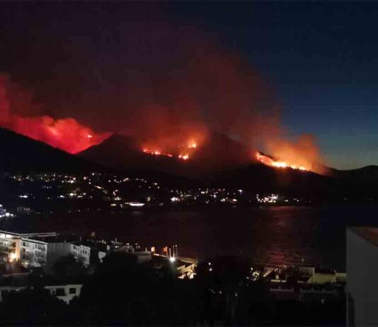 Los Bomberos dan por estabilizado el incendio de Llança Los Bomberos dan por estabilizado el incendio de Llança