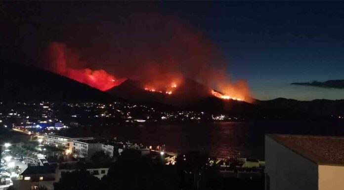 Los Bomberos dan por estabilizado el incendio de Llança Los Bomberos dan por estabilizado el incendio de Llança