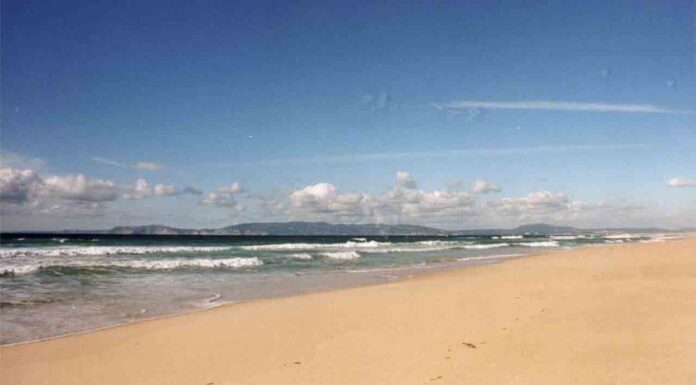 Mueren ahogados dos hombres en la playa de Gavà Mueren ahogados dos hombres en la playa de Gavà