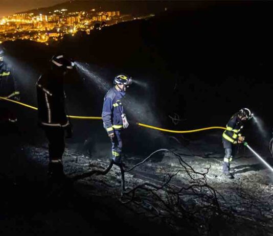 Prisión para un hombre como responsable de varios incendios en Collserola Prisión para un hombre como responsable de varios incendios en Collserola