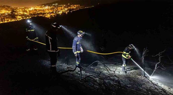 Prisión para un hombre como responsable de varios incendios en Collserola Prisión para un hombre como responsable de varios incendios en Collserola