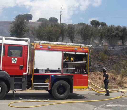 Segundo incendio en Collserola en solo una semana Segundo incendio en Collserola en solo una semana