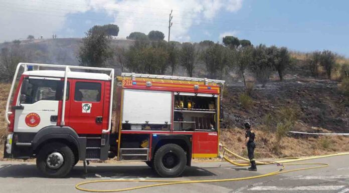 Segundo incendio en Collserola en solo una semana Segundo incendio en Collserola en solo una semana