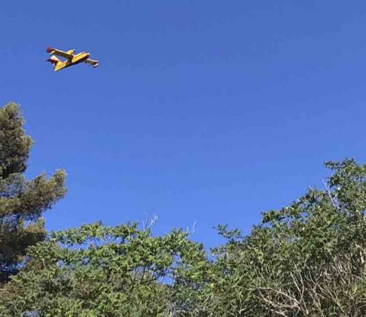 Un nuevo incendio azota Collserola Un nuevo incendio azota Collserola