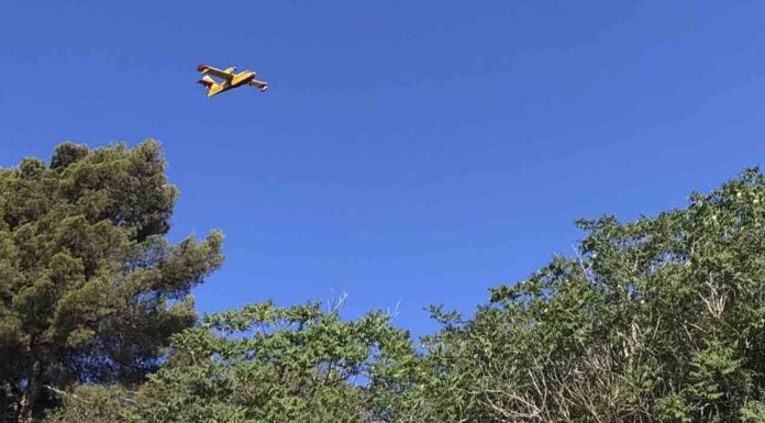 Un nuevo incendio azota Collserola Un nuevo incendio azota Collserola