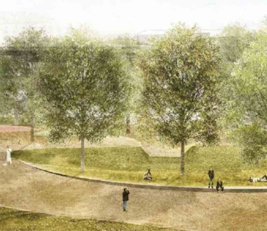 Comienzan las obras para el Área de Recreo de Perros en la Estación del Norte Comienzan las obras para el Área de Recreo de Perros en la Estación del Norte