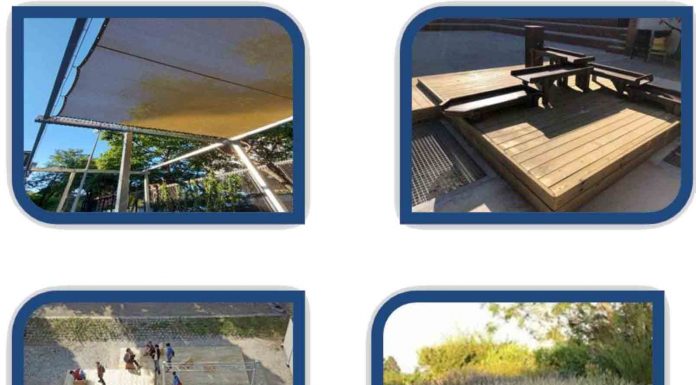 Una docena de escuelas públicas de Barcelona naturalizan los patios Una docena de escuelas públicas de Barcelona naturalizan los patios