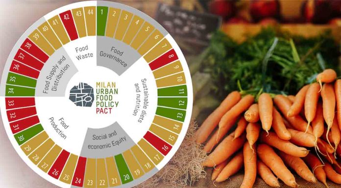 7º Foro Global del Pacto de Ciudades de Milán | 19-21/10 7º Foro Global del Pacto de Ciudades de Milán