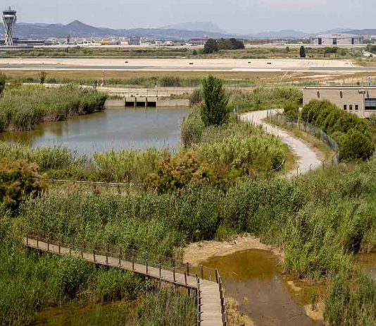 Aena quiere hacer desaparecer la Ricarda con la ampliación del aeropuerto Aena quiere hacer desaparecer la Ricarda con la ampliación del aeropuerto