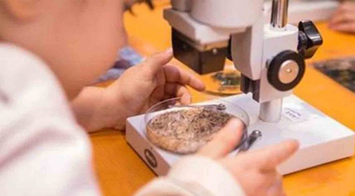 Nuevo Plan Educativo del Zoo para concienciar y educar sobre la biodiversidad Nuevo Plan Educativo del Zoo para concienciar y educar sobre la biodiversidad