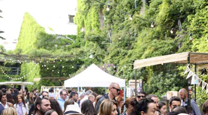 Palo Market Fest Palo Market Fest