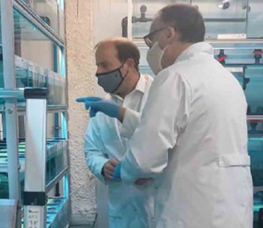 Acuerdo entre el Gobierno Balear y el Zoo de Barcelona para la reintroducción de especies Acuerdo entre el Gobierno Balear y el Zoo de Barcelona para la reintroducción de especies de anfibios y reptiles