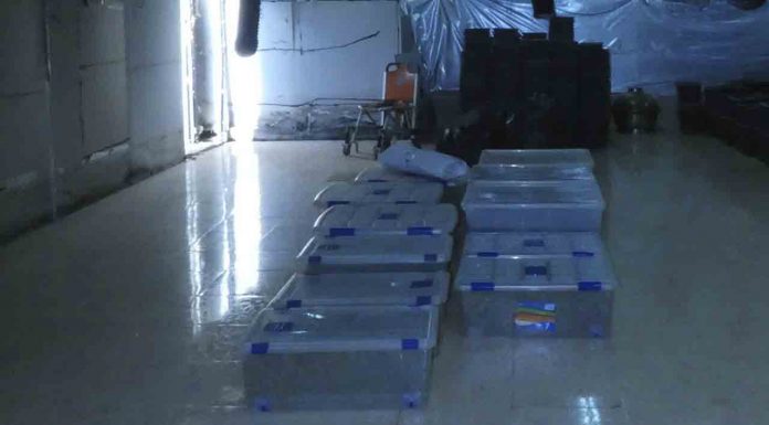 Confiscadas 770 plantas y 900 kilos de cogollos de marihuana en Mediona Confiscadas 770 plantas y 900 kilos de cogollos de marihuana en Mediona