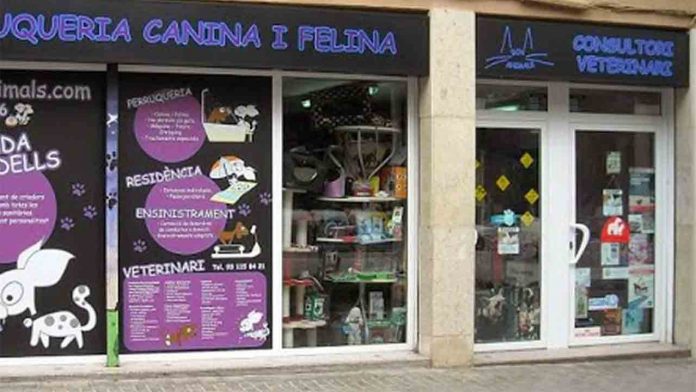 Intervienen 14 cachorros en una tienda de Sant Andreu por graves irregularidades