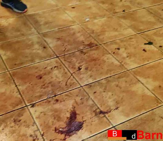 Tres radicales del Barça detenidos por atacar a otros tres ultras del Espanyol Los Boixos Nois destrozan un bar de Cornellà y dejan dos heridos