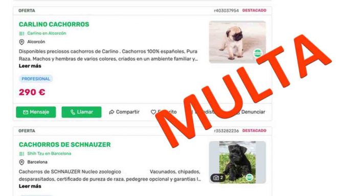 Nueva multa de 250.000 euros a ‘Milanuncios’ por publicar venta de animales Nueva multa de 250.000 euros a 'Milanuncios' por publicar venta de animales