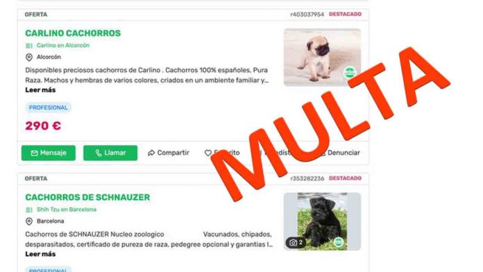 Nueva multa de 250.000 euros a 'Milanuncios' por publicar venta de animales