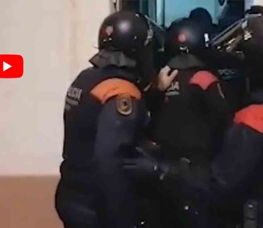 Cuatro detenidos por venta de cocaína en un piso de Collblanc-La Torrassa Cuatro detenidos por venta de cocaína en un piso de Collblanc-La Torrassa