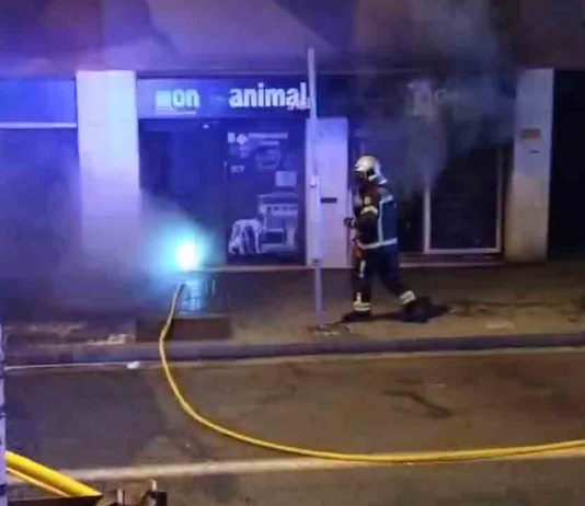 Mueren centenares de animales en el incendio de una tienda en La Bordeta Mueren centenares de animales en el incendio de una tienda en La Bordeta