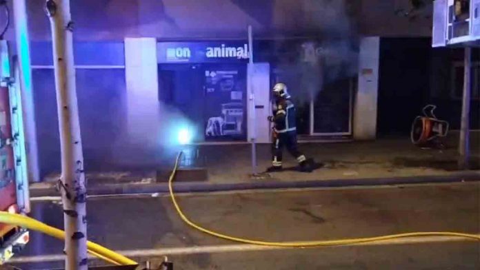 Mueren centenares de animales en el incendio de una tienda en La Bordeta
