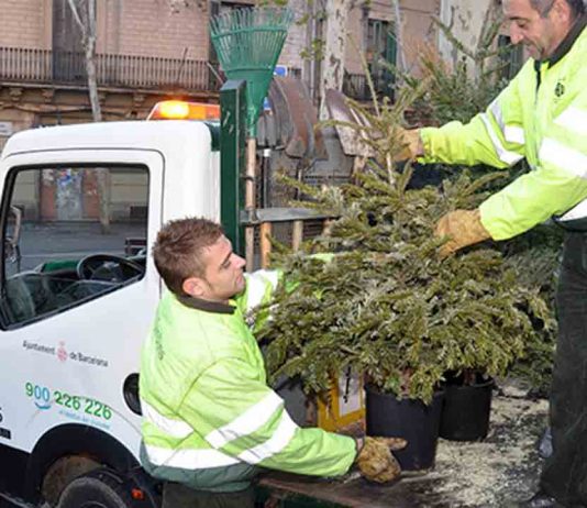 El Ayuntamiento tendrá 227 puntos de recogida de árboles de Navidad El Ayuntamiento tendrá 227 puntos de recogida de árboles de Navidad