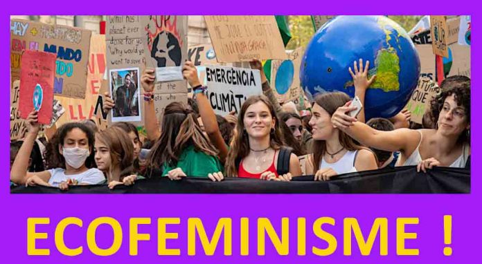 Acció Ecofeminista: eje indispensable vital en las luchas por una vidas dignas
