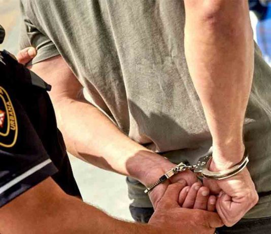 Detenido un hombre por apuñalar a otro en la Diagonal Detenido un hombre por apuñalar a otro en la Diagonal