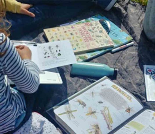 El jardÃn de historias pequeñas. Cuentos para abrir bien los ojos El jardÃn de historias pequeñas. Cuentos para abrir bien los ojos