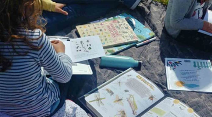 El jardín de historias pequeñas. Cuentos para abrir bien los ojos El jardín de historias pequeñas. Cuentos para abrir bien los ojos
