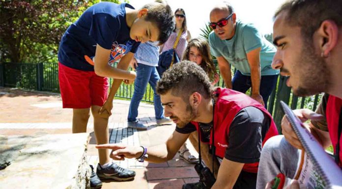 Fin de semana de Bioblitz Metropolità para explorar animales y plantas Fin de semana de Bioblitz Metropolità para explorar animales y plantas