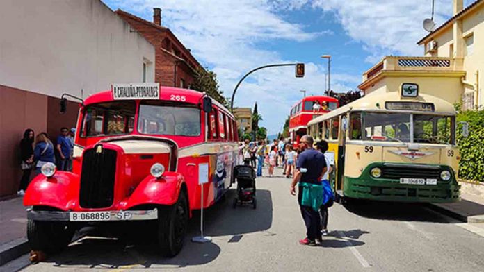 Los autobuses clásicos de TMB visitan Gràcia