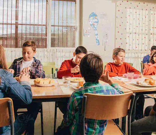Premio del Ministerio de Consumo y AESAN a los comedores escolares más sanos Premio del Ministerio de Consumo y AESAN a los comedores escolares más sanos y sostenibles