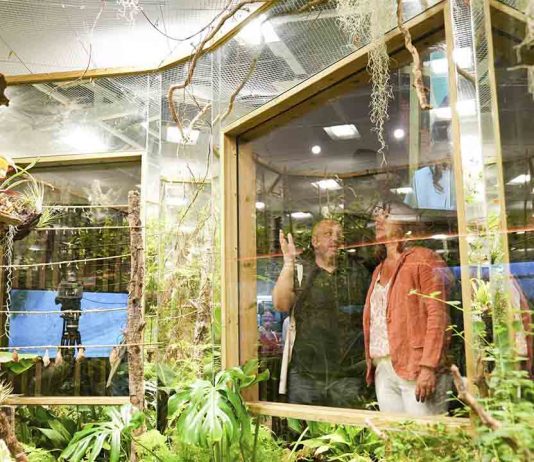 Los invertebrados ya tienen un nuevo espacio en el Zoo de Barcelona Los invertebrados ya tienen un nuevo espacio en el Zoo de Barcelona