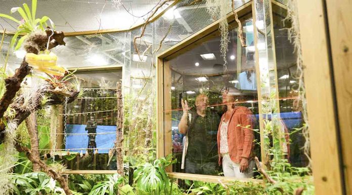 Los invertebrados ya tienen un nuevo espacio en el Zoo de Barcelona Los invertebrados ya tienen un nuevo espacio en el Zoo de Barcelona