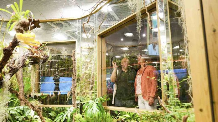 Los invertebrados ya tienen un nuevo espacio en el Zoo de Barcelona