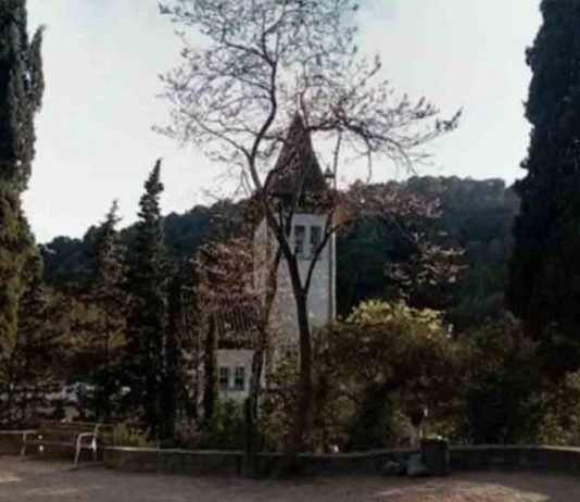Despiden a la directora del centro de acogida de Collserola por utilizar recursos para uso propio Despiden a la directora del centro de acogida de Collserola por utilizar recursos para uso propio
