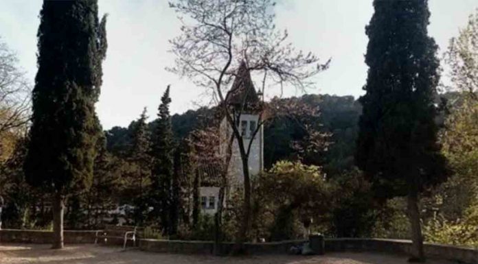 Despiden a la directora del centro de acogida de Collserola por utilizar recursos para uso propio Despiden a la directora del centro de acogida de Collserola por utilizar recursos para uso propio