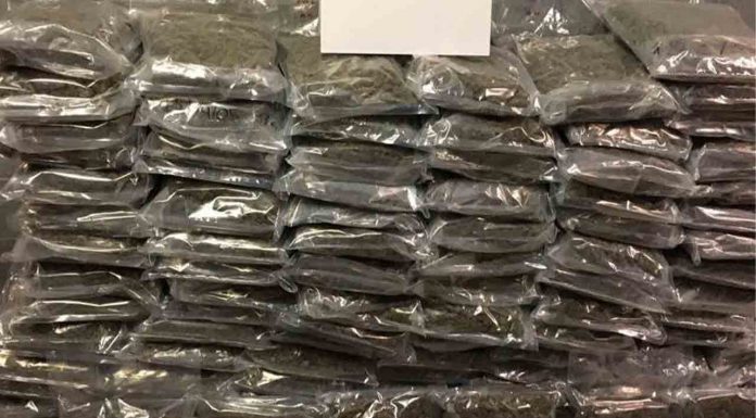 Prisión para un hombre que transportaba 135 kilos de marihuana en su camión Prisión para un hombre que transportaba 135 kilos de marihuana en su camión