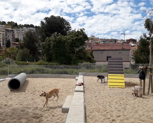 Se inician los trámites para las medidas de conducción de los perros en la ciudad Se inician los trámites para las medidas de conducción de los perros en la ciudad previstas en la ordenanza