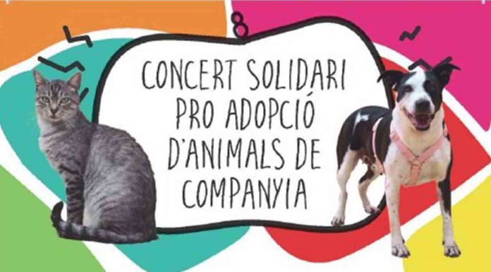Barcelona organiza un concierto solidario con adopción de animales de compañía Barcelona organiza un concierto solidario con adopción de animales de compañía